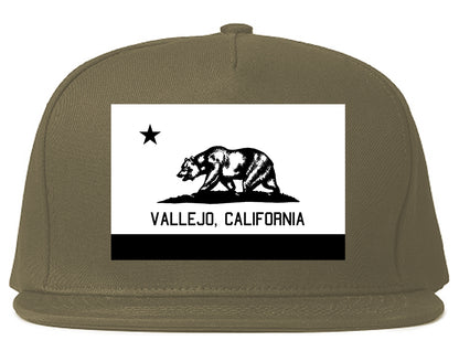 Vallejo California FLAG Bear Mens Snapback Hat Grey