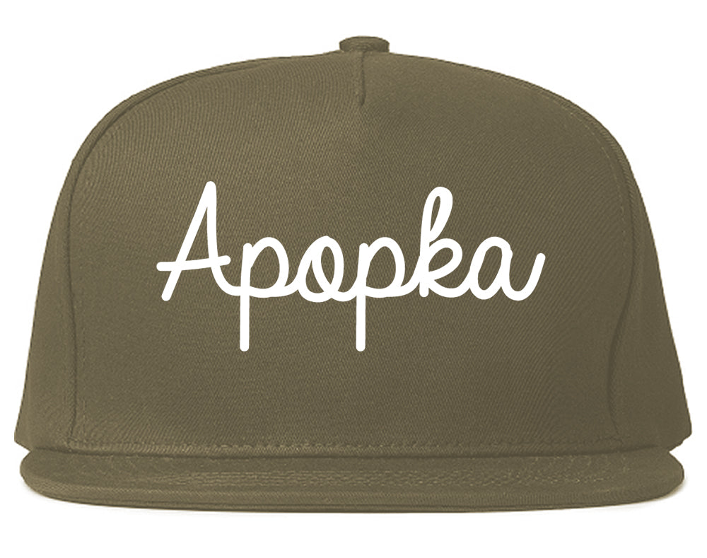 Apopka Florida FL Script Mens Snapback Hat Grey