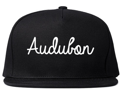 Audubon New Jersey NJ Script Mens Snapback Hat Black