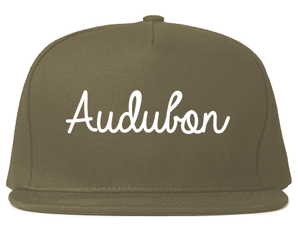 Audubon New Jersey NJ Script Mens Snapback Hat Grey
