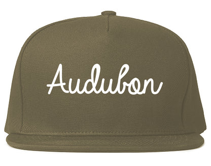 Audubon New Jersey NJ Script Mens Snapback Hat Grey