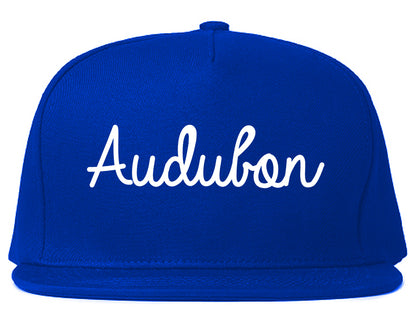 Audubon New Jersey NJ Script Mens Snapback Hat Royal Blue