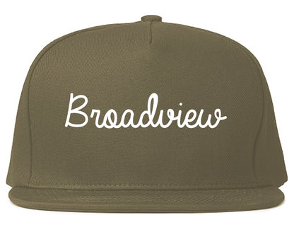 Broadview Illinois IL Script Mens Snapback Hat Grey
