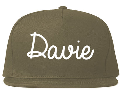 Davie Florida FL Script Mens Snapback Hat Grey