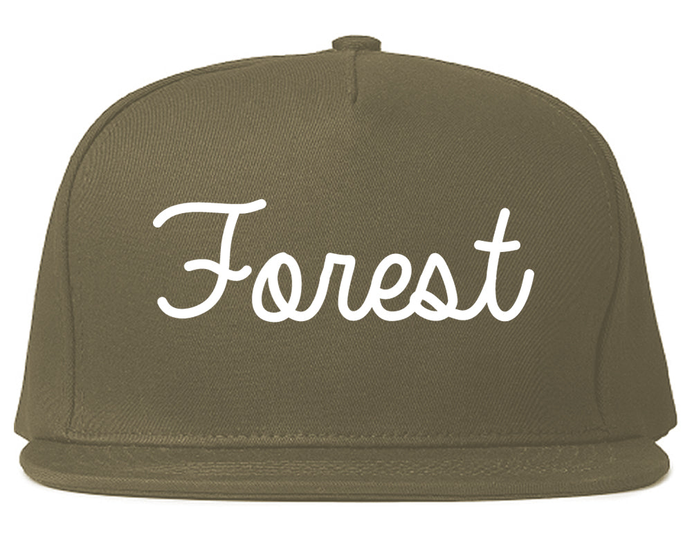 Forest Mississippi MS Script Mens Snapback Hat Grey