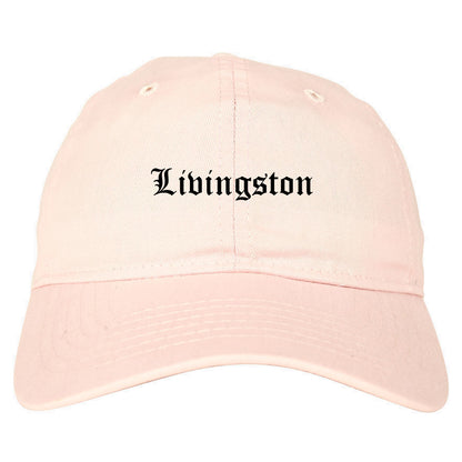Livingston Montana MT Old English Mens Dad Hat Baseball Cap Pink