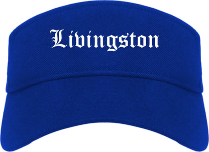 Livingston Montana MT Old English Mens Visor Cap Hat Royal Blue