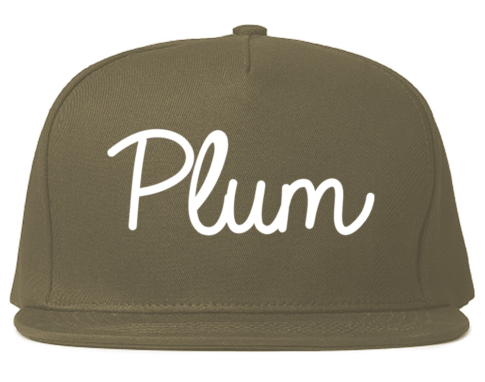 Plum Pennsylvania PA Script Mens Snapback Hat Grey