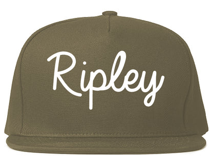 Ripley Mississippi MS Script Mens Snapback Hat Grey