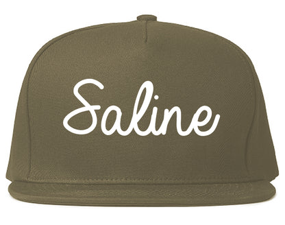 Saline Michigan MI Script Mens Snapback Hat Grey