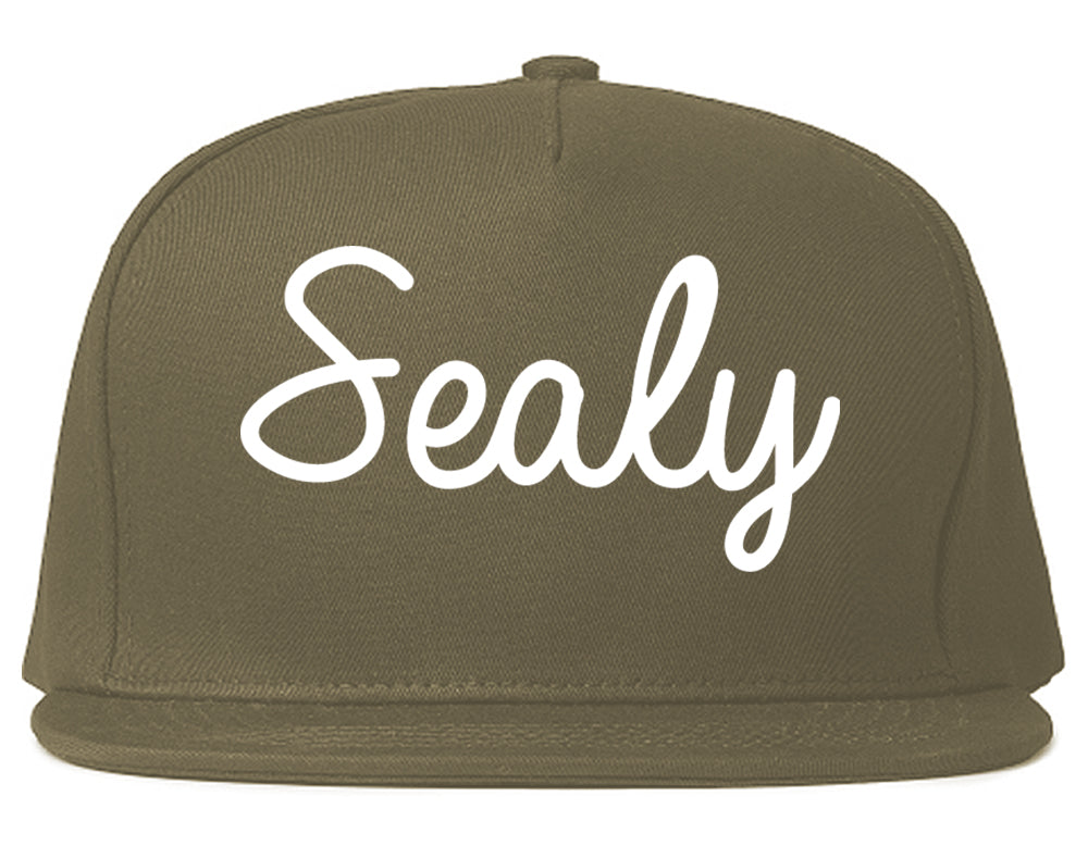 Sealy Texas TX Script Mens Snapback Hat Grey