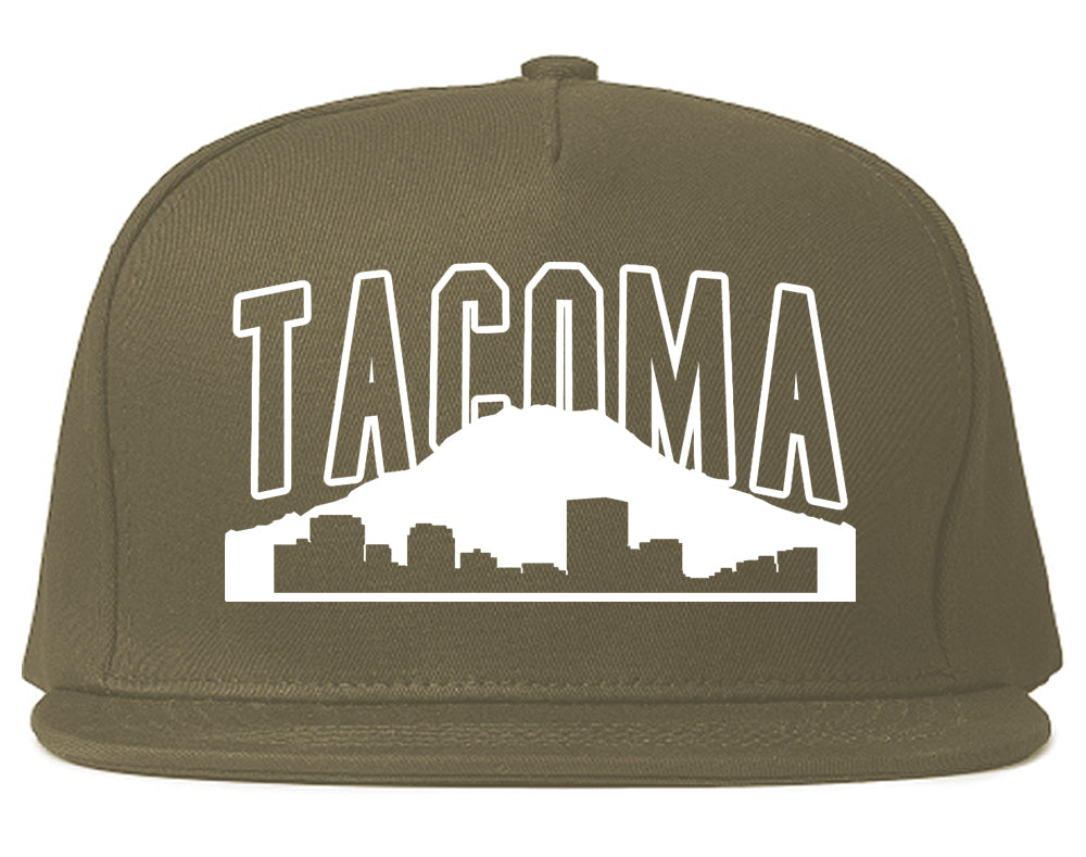 Skyline Mountain Tacoma Washington Mens Snapback Hat Grey