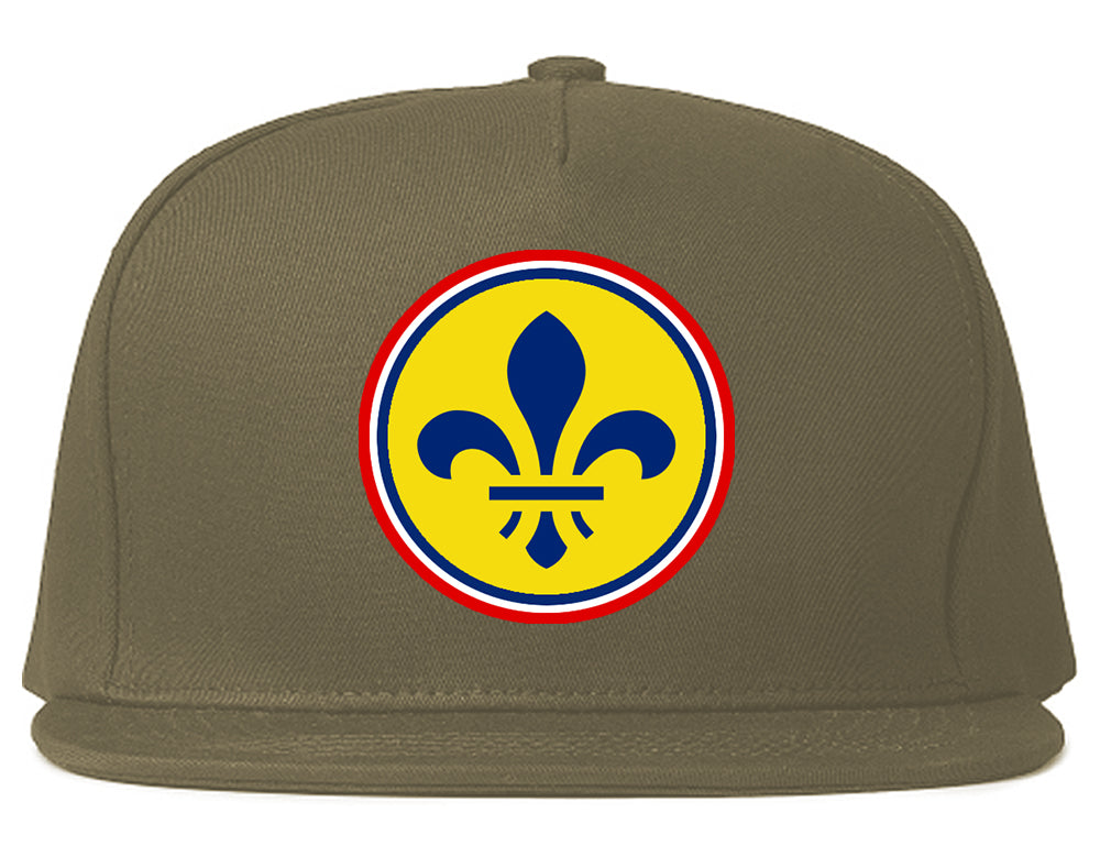 St Louis Missouri Fleur De Lis Flag Emblem Mens Snapback Hat Grey
