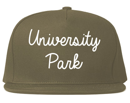 University Park Illinois IL Script Mens Snapback Hat Grey