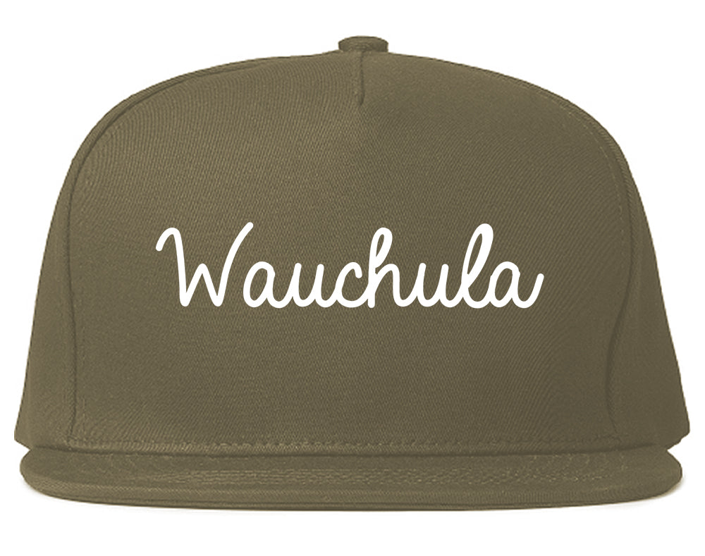Wauchula Florida FL Script Mens Snapback Hat Grey