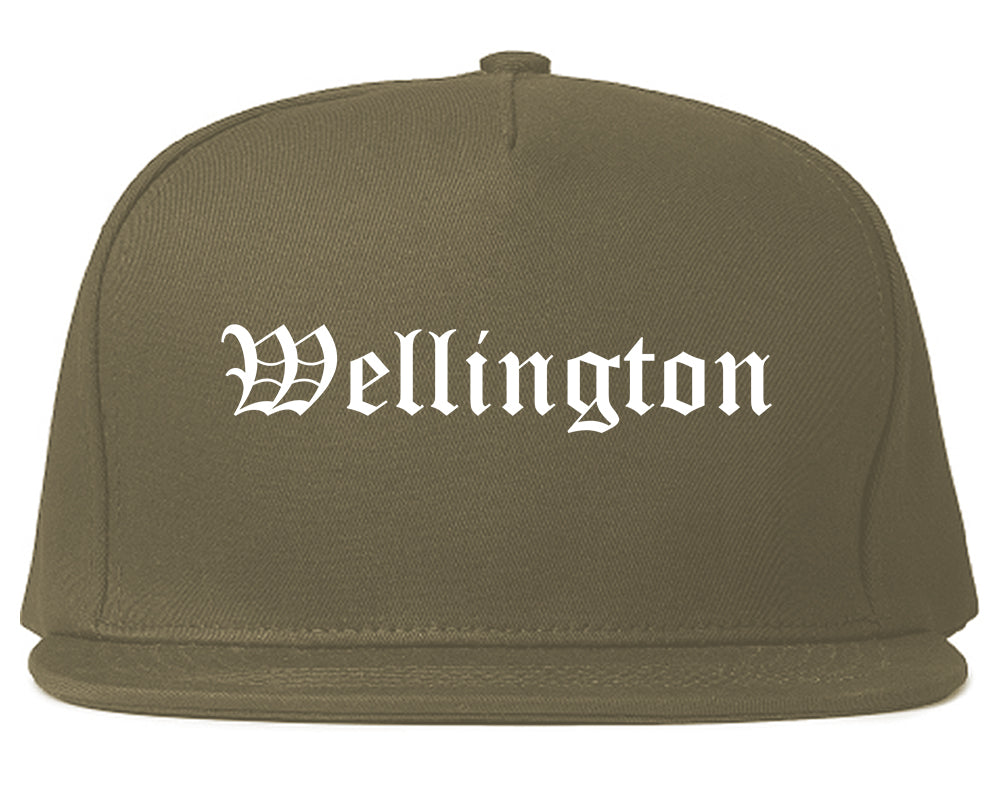 Wellington Colorado CO Old English Mens Snapback Hat Grey