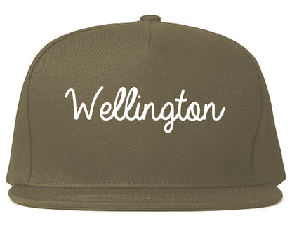 Wellington Colorado CO Script Mens Snapback Hat Grey